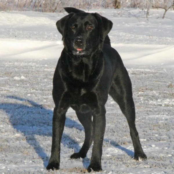 Ely_edited-1_zpsba5d15b1